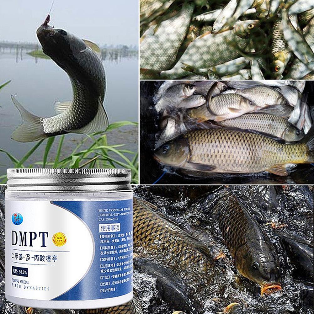 50g Real DMPT High Purity Fish - Fishing Equipment Market recensione e prezzo